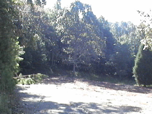 Vince Merolla Enterprises